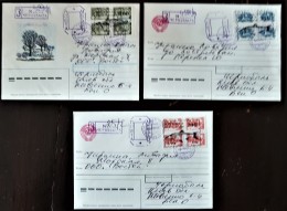 URSS, RUSSIE,  WWF, Poissons, Faune Marine, Serie Complete Poste Locale Sur 3 Lettres Ayant Circulé 1995 - Brieven En Documenten