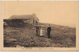 CPA Types Métier Folklore Cantal Auvergne écrite - Otros & Sin Clasificación