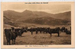 CPA Types Métier Folklore Cantal Auvergne écrite - Autres & Non Classés