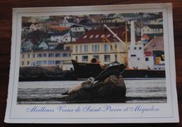 SAINT PIERRE ET MIQUELON  PHOTO CARTE DE VOEUX - Saint-Pierre En Miquelon