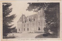 Nançay. Château De Loinces - Nançay