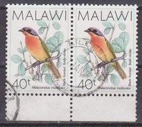 Malawi, 1988 - 40t Black-fronted Bush Shrike, Coppia - Nr.527 Usato° - Moineaux