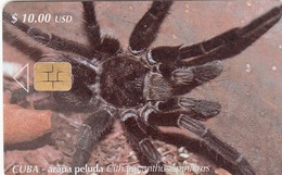 CUBA - Cuban Hairy Spider (Citharacanthus Spinicrus),  Tirage 30.000, 03/01, Used - Cuba