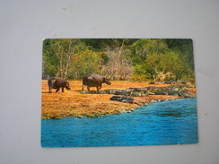 African Wild Life River-horses And Crocodiles Kenya Air Mail - Hippopotames