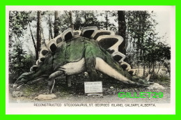 CALGARY, ALBERTA - RECONSTRUCTED STEGOSAURUS, ST GEORGES ISLAND - ARMOURED DINOSAUR - THE SUTTON CO - - Calgary