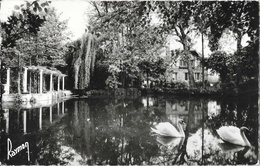 Villecresnes - Cygnes Sur L'Etang - Collection USSE - Carte Raymon Non Circulée - Villecresnes