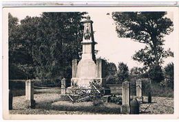 41  SAINT  AMAND  DE  VENDOME   MONUMENT  AUX  MORTS      CPSM      TBE  1Y372 - Saint Amand Longpre