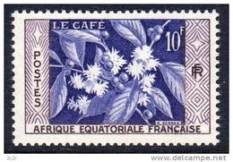 AEF 1956: N° 240 ** (YT236) - Luxe - Unused Stamps