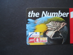 U K ENGLAND USED CARDS BIRDS PARROTS - Parrots