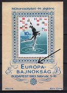 Hungary 1963. ERROR - Ice Hockey Sheet Under The Frame Arrowhead (see The Scan) MNH (**) Michel: Bl. 37 AI - Varietà & Curiosità