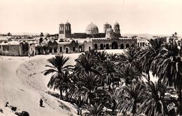 ALGERIE - EL OUED - LA GRANDE MOSQUEE ET LES JARDINS - El-Oued