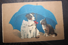 X1 - ILLUSTRATEUR -  -  CHATS ET CHIEN Sous Un Parapluie - 1900-1949