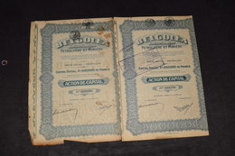 2X Belgoléa Société Pétrolifère Et Minière 100 Frs 1927 - Erdöl