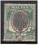 20c Black & Green Kedah Used  1950  Malaya, Malaysia (Sample Image) - Kedah