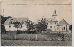 CPA Cantal Auvergne Circulé Pléaux - Andere & Zonder Classificatie