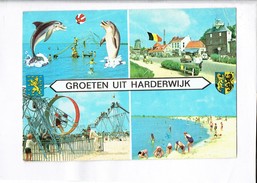 43623 - GROETEN UIT HARDERWIJK - Harderwijk