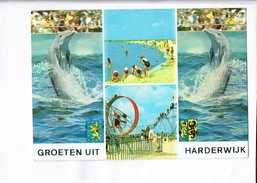 43625 - GROETEN UIT HARDERWIJK - Harderwijk