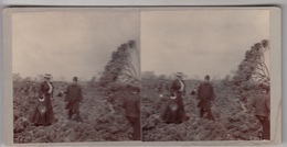 TRES ANCIENNE PHOTO STEREOTYPE / LA LAVE à TORRE ANNUNZIATA (NAPLES) En AVRIL 1906 - Old (before 1900)