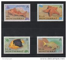 Montserrat - 1991 Marine Animals MNH__(TH-5917) - Montserrat