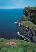 CPSM Ireland-Cliffs Of Moher-Clare            L2397 - Clare