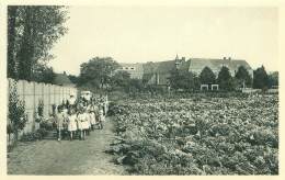 RAVELS - O.L. Vrouw Van De Kempen - Al Wandelend Door De Moestuin - Ravels