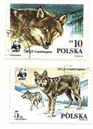 1985 - Polonia 2787/88 Lupo     ----- - Used Stamps