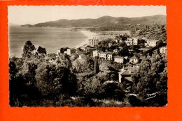 83 Le Lavandou : Vue Générale - Le Lavandou