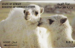Kuwait, 39KWTB, Young Camels, 2 Scans. - Koeweit