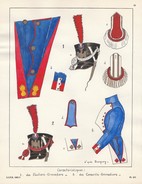 Planche Aquarellee Caracteristiques Des Fusiliers Grenadiers Des Conscrits Grenadiers - Uniforms