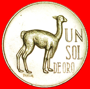 √ VICUGNA: PERU ★ SOL DE ORO 1966! LOW START ★ NO RESERVE! - Perú