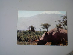 Rhinoceros Kenya By Air Mail - Rhinoceros