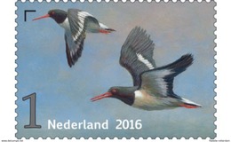 Nederland / The Netherlands - Postfris / MNH - Griend, Vogels Van Het Wad (6) 2016 - Ongebruikt