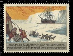 German Poster Stamp, Reklamemarke, Vignette, Südpol, Nordpol, Expedition, Sled Dog, Schlittenhund Max Koch, South Pol - Hunde