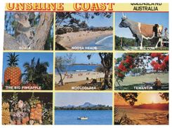 (203) Australia - QLD - Sunshine Coast - Sunshine Coast