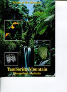 (199) Australia - QLD - Tambourine Mountain - Gold Coast