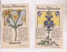 CARTES NON POSTALES PLANTES MEDICINALES - Heilpflanzen