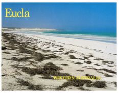 (206) Australia - WA - Eucla - Other & Unclassified