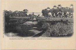 CPA Basse Terre Guadeloupe Non Circulé Colonies Françaises - Basse Terre