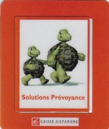 Magnet - Tortues - Caisse D'Epargne - Magnets