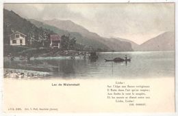 LAC DE WALENSTADT - Pfaff 2305 - Walenstadt