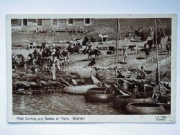 IRAQ BAGHDAD Arab Donkeys Goofs On Tigris Boat Old Postcard - Iraq