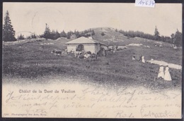 Chalet De La Dent De Vaulion : Vaches Et Touristes Au Pré Vers 1902 : Cachet Du Chalet (14'634) - Vaulion