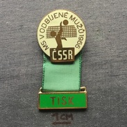 Badge (Pin) ZN005819 - Volleyball CSSR Czechoslovakia Prague (Praha) World Championship For Men 1966 TISK - Volleyball