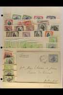 5031 BRITISH PACIFIC SMALL ISLANDS 1880's-1980's INTERESTING MINT, NHM & USED RANGES On Stock Pages, Inc Samoa 1899-1900 - Other & Unclassified