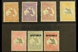 5305 1931-36 Kangaroos Complete Set (£1 & £2 Values Overprinted "Specimen"), SG 132/36 & 137s/38s, Fine Mint, Very Fresh - Other & Unclassified