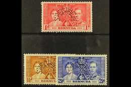 5464 1937 Coronation Set Complete, Perforated "Specimen", SG 107s/9s, Fine Mint, Large Part Og (3 Stamps) For More Image - Bermuda