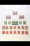 5689 KING GEORGE VI ISSUES COLLECTION 1937-52 Mint And Used Collection On Album Pages, Contains Many Duplicated Used Ran - Other & Unclassified