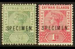 5703 1900 1½d And 1d Overprinted "Specimen" (1d Creased), SG 1s/2s, Mint. Scarce. (2 Stamps) For More Images, Please Vis - Cayman Islands