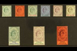 6336 1904-08 KEVII Definitive Set, SG 56/64, Some Tiny Imperfections, Generally Fine Mint, The £1 Value Is Superb With V - Gibraltar