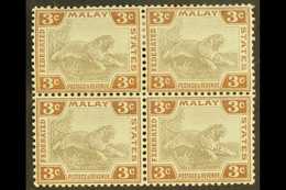 6981 FMS 1904-22 3c Grey And Brown, SG 32, Very Fine Mint Block Of Four, Lower Pair Never Hinged. For More Images, Pleas - Other & Unclassified
